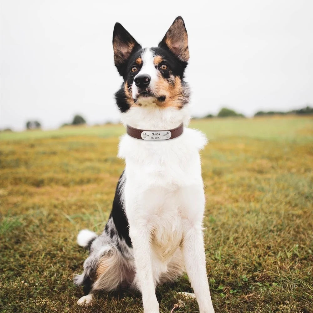 Personalized Pet Collar with Engraved ID Tag – PU Leather, Anti-Lost