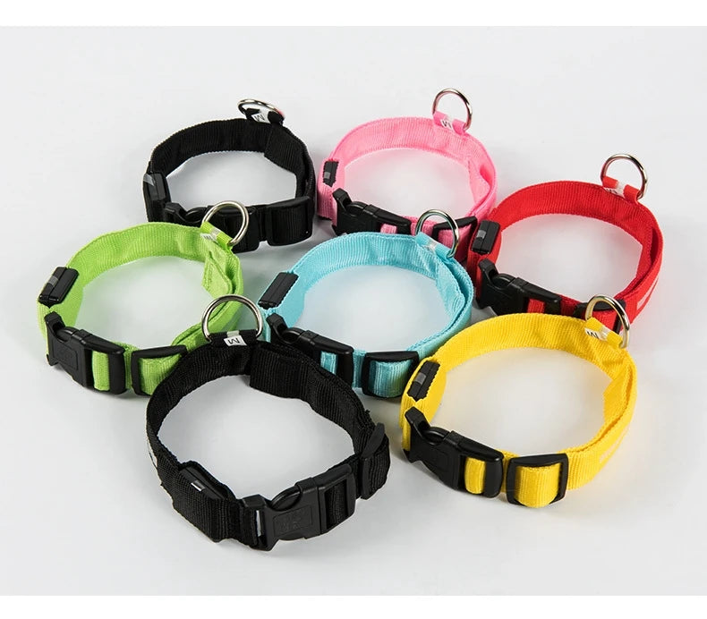 LED Light-Up Dog Collar – Nylon Night Safety Flashing Collar for Dogs