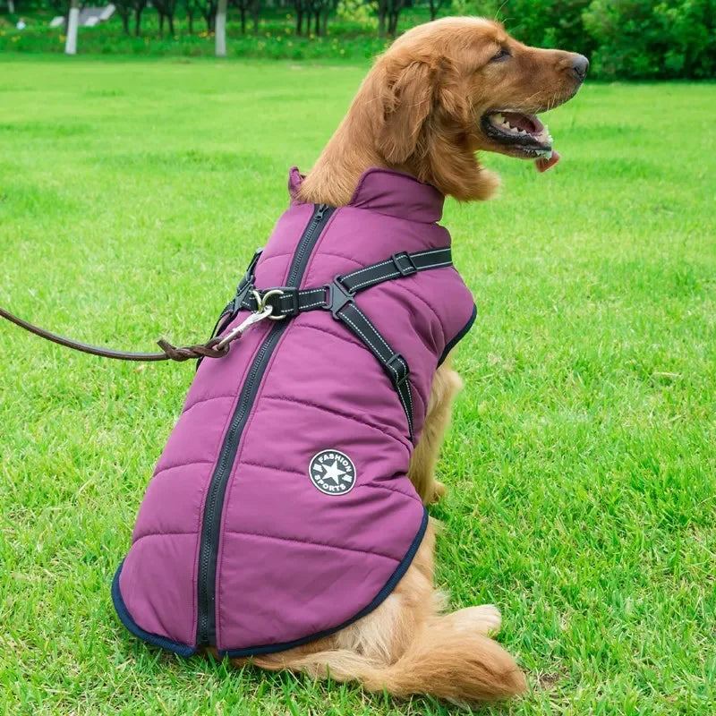Winter Dog Jacket with Harness – Waterproof & Warm Coat for Large & Small Dogs
