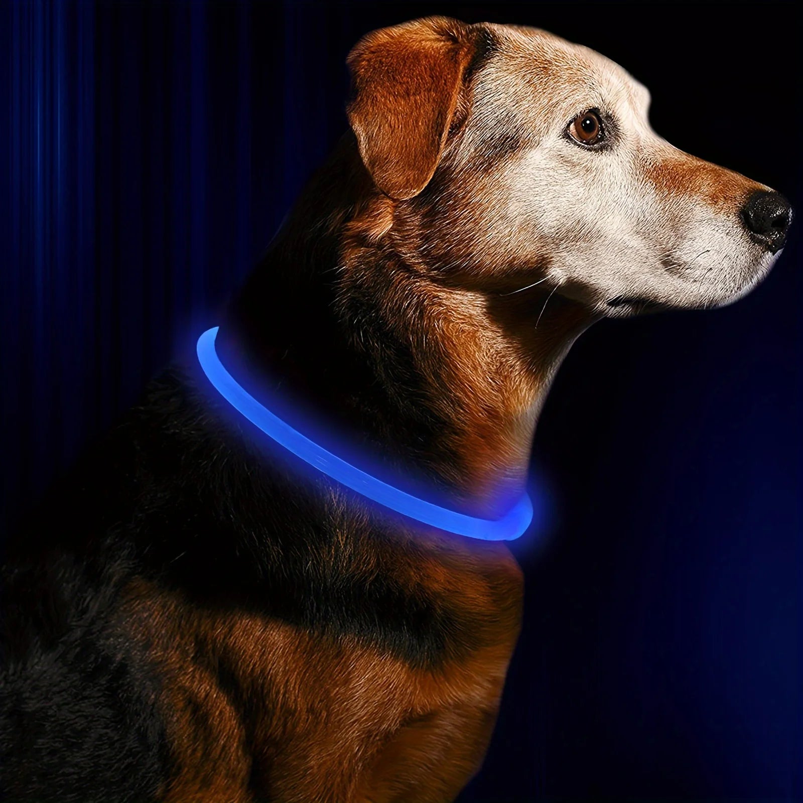 LED Dog Collar – USB Rechargeable Luminous Safety Collar for Night Walks