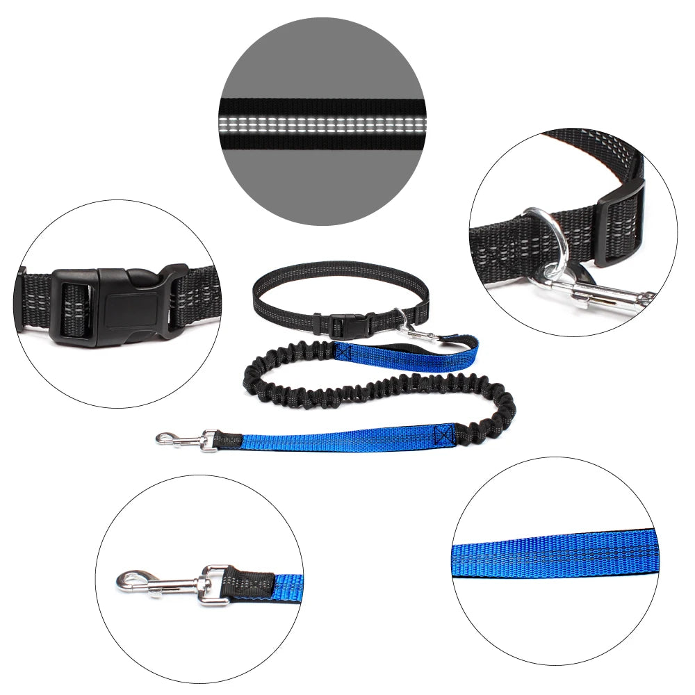 Hands-Free Dog Leash – Adjustable Waist Belt with Reflective Bungee for Running & Walking