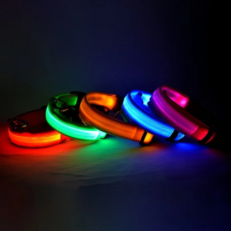 LED Light-Up Dog Collar – Nylon Night Safety Flashing Collar for Dogs