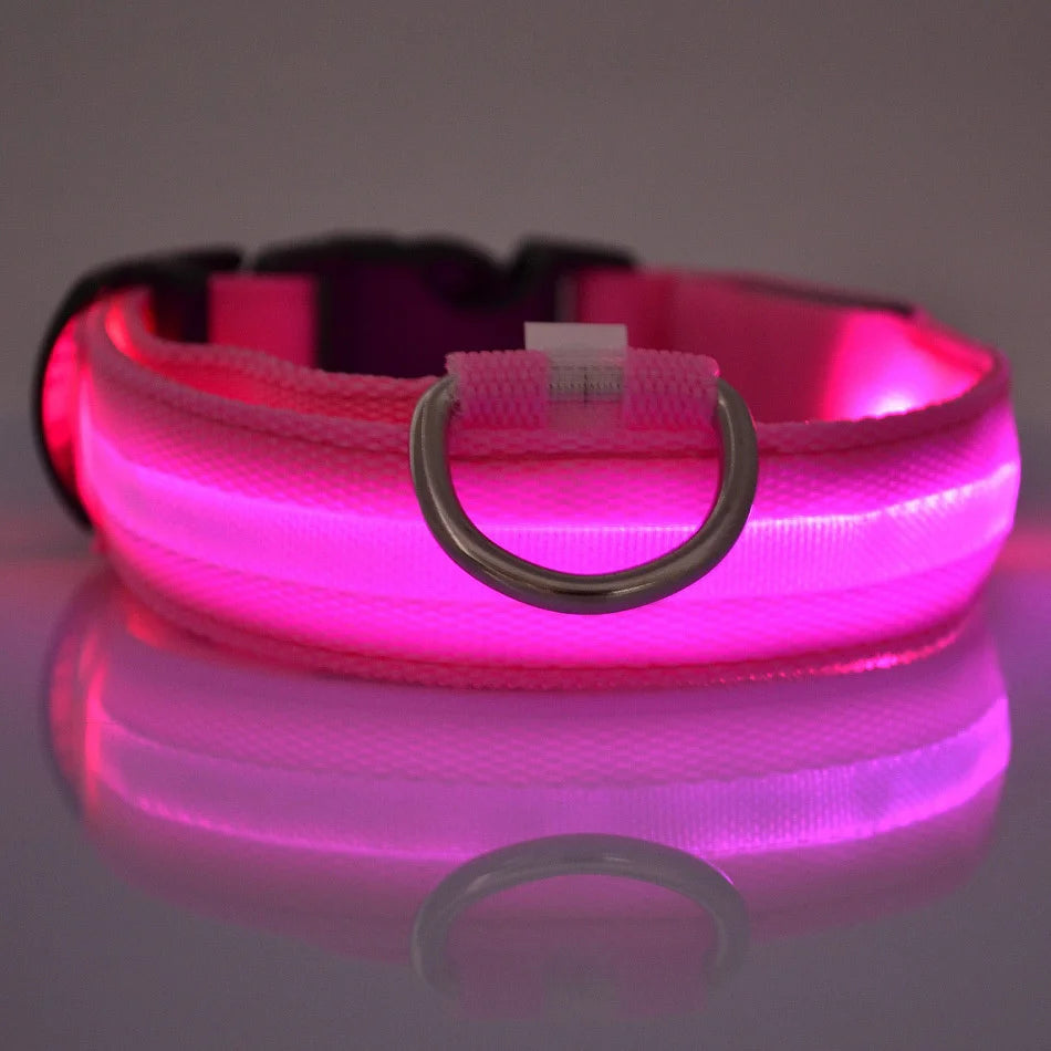 LED Light-Up Dog Collar – Nylon Night Safety Flashing Collar for Dogs