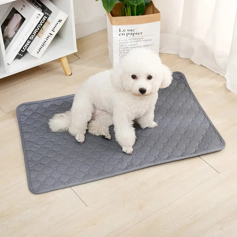 Premium Washable Dog Training Pad & Pet Protection Mat