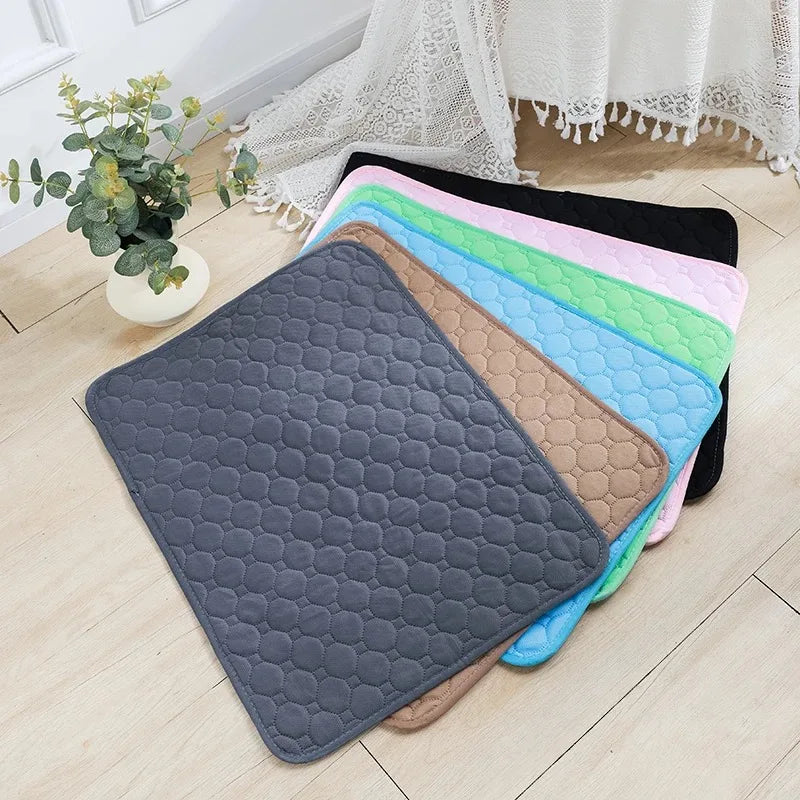 Premium Washable Dog Training Pad & Pet Protection Mat