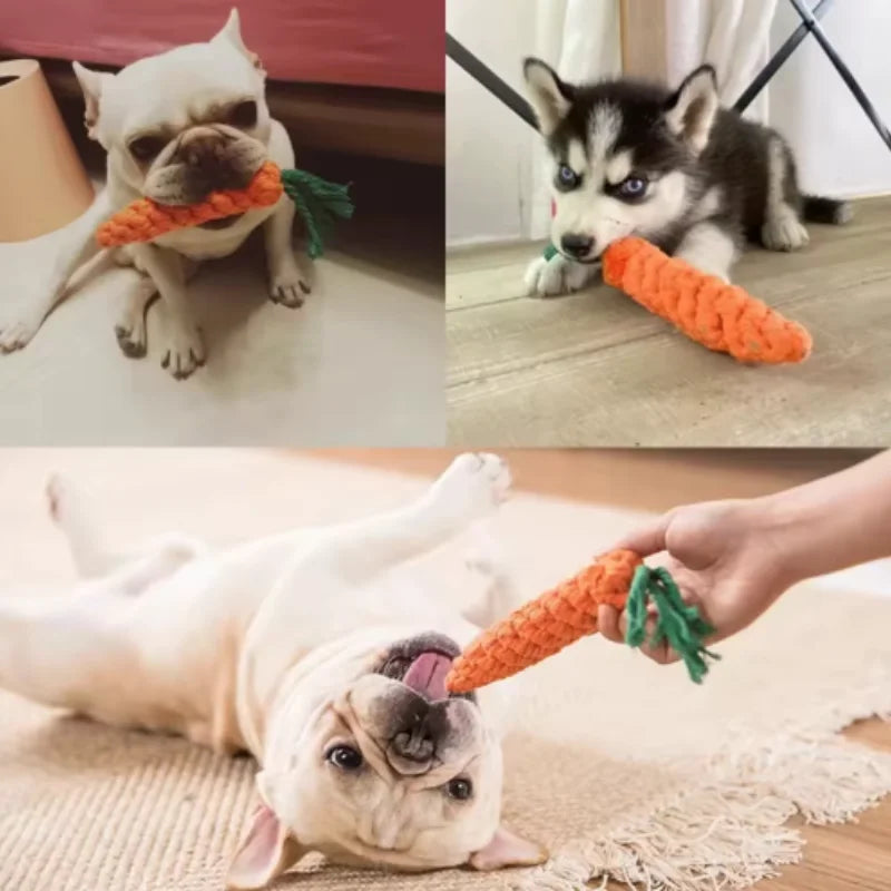 Cat Teething & Play Stick — Interactive Chew Toy for Cats
