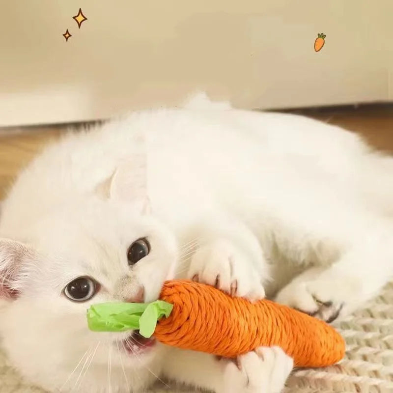 Cat Teething & Play Stick — Interactive Chew Toy for Cats
