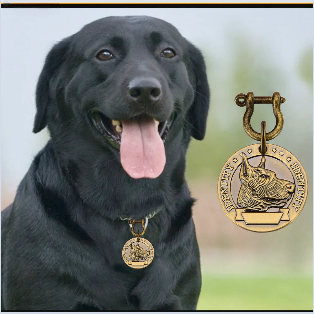Personalized Engraved Pet ID Tag – Custom Name & Phone for Dogs & Cats