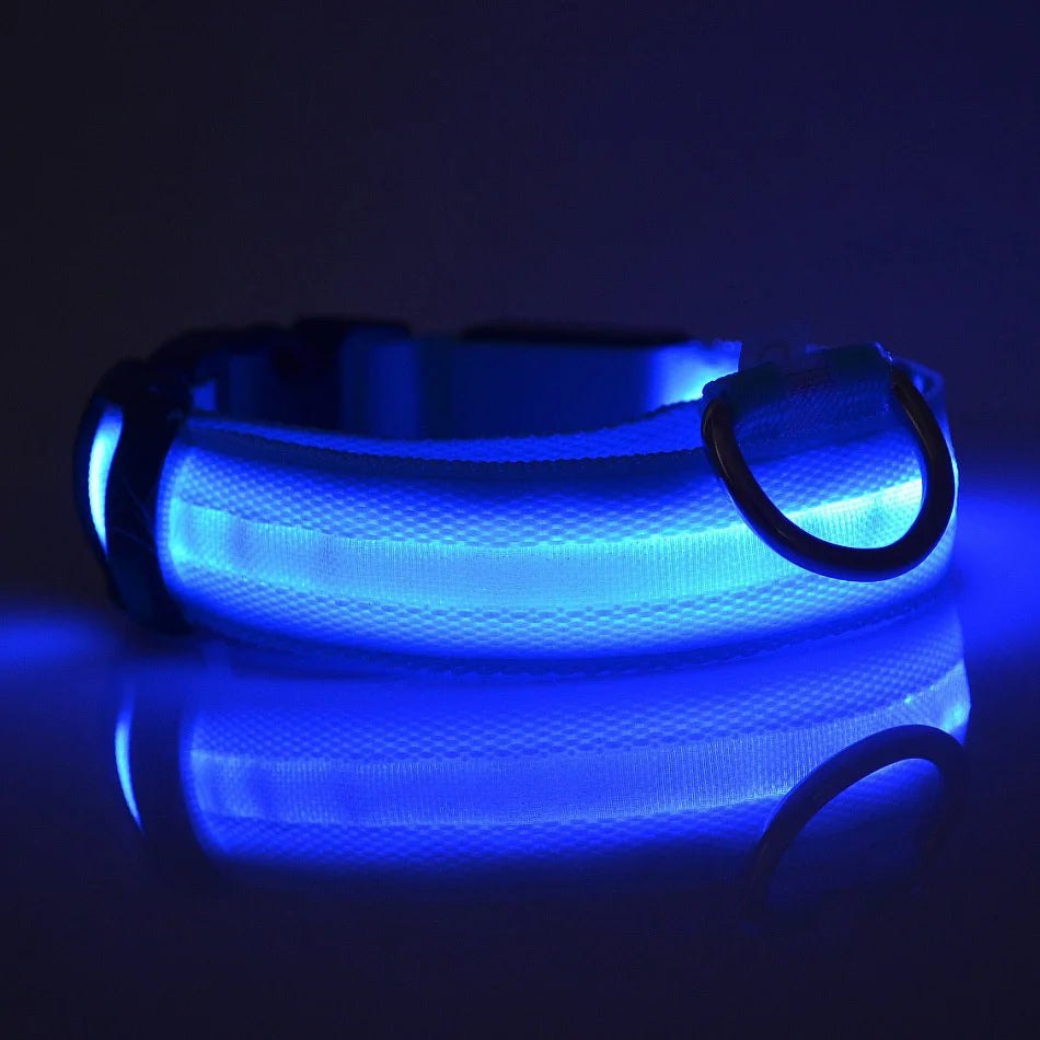 LED Light-Up Dog Collar – Nylon Night Safety Flashing Collar for Dogs