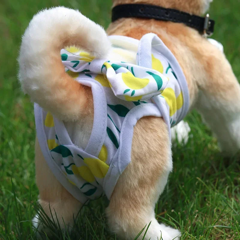 Dog & Cat Washable Physiological Pants – Reusable Pet Diapers for Female Dogs & Cats