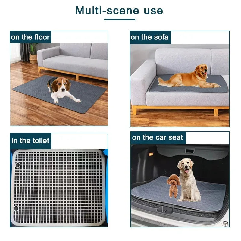 Premium Washable Dog Training Pad & Pet Protection Mat
