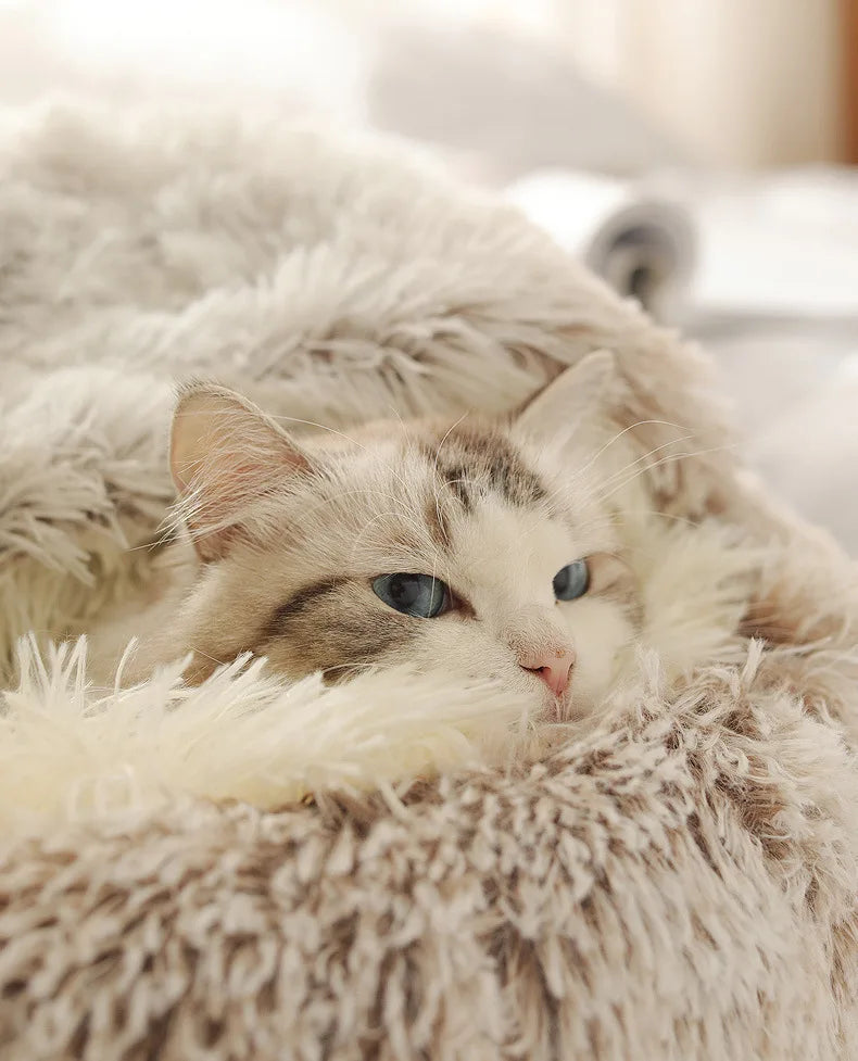 2-in-1 Plush Pet Bed with Hooded Shell – Warm & Cozy Cat and Dog Nest