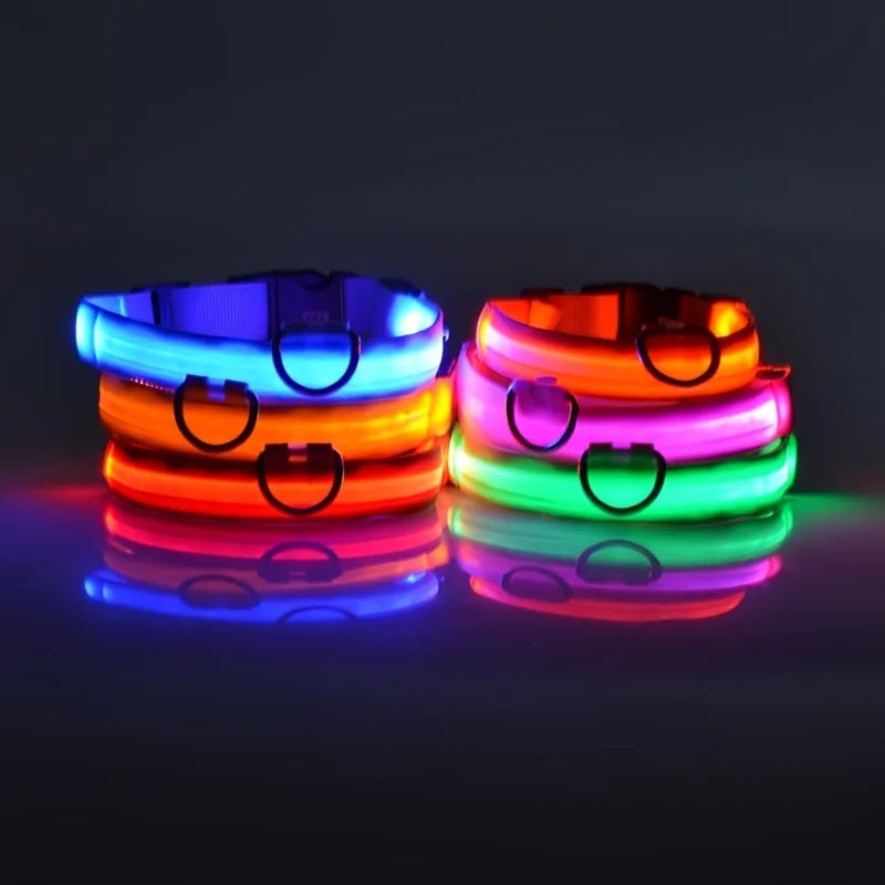 LED Light-Up Dog Collar – Nylon Night Safety Flashing Collar for Dogs
