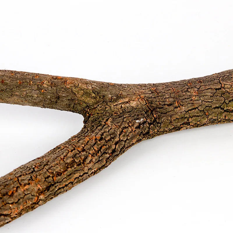Natural Wood Bird Perch – Cage Branch Stand (15cm / 20cm / 30cm)
