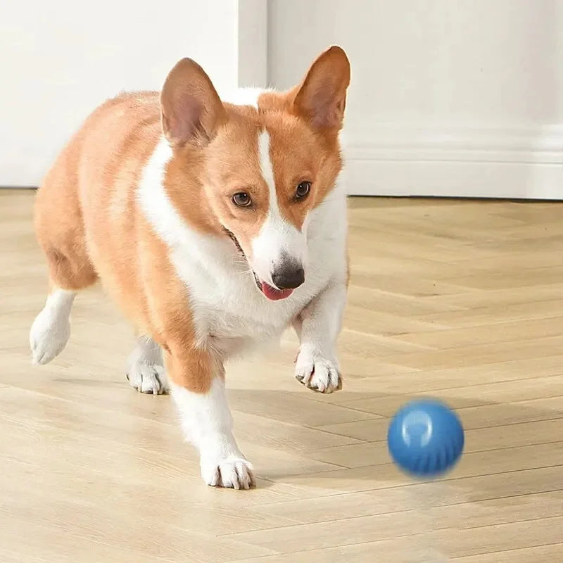 Smart Interactive Pet Ball – USB Rechargeable Auto-Moving Toy for Dogs & Cats