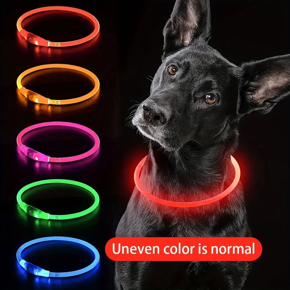 LED Dog Collar – USB Rechargeable Luminous Safety Collar for Night Walks