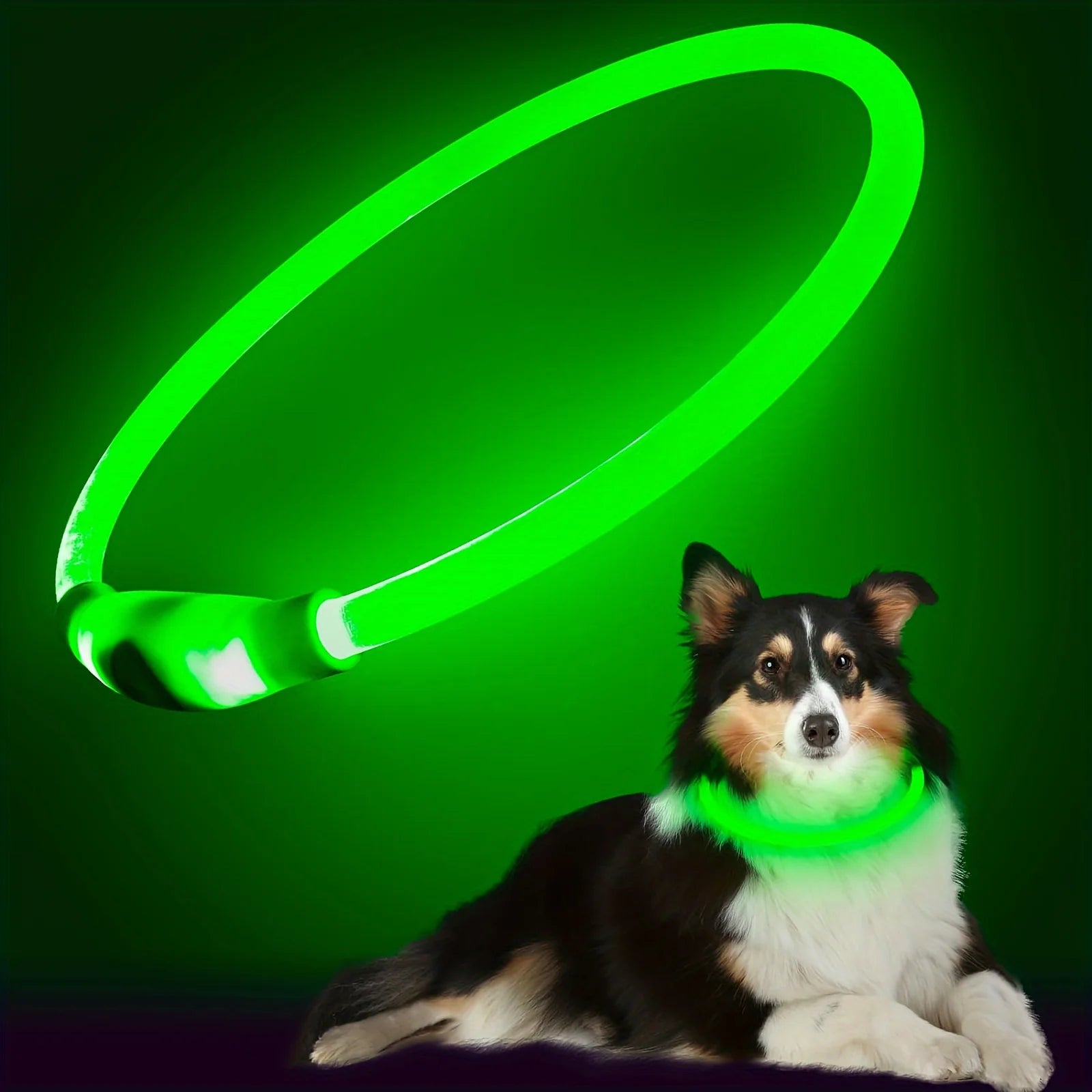 LED Dog Collar – USB Rechargeable Luminous Safety Collar for Night Walks