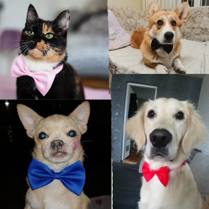 Adjustable Pet Bow Tie – Cats & Dogs | Stylish Collar Accessory