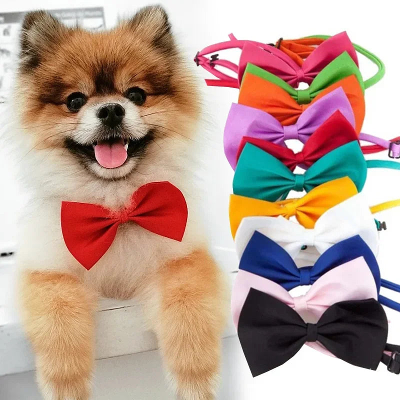 Adjustable Pet Bow Tie – Cats & Dogs | Stylish Collar Accessory