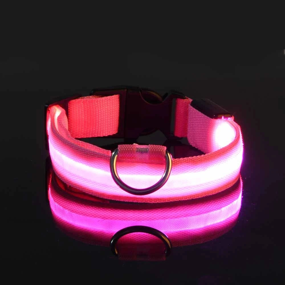 LED Light-Up Dog Collar – Nylon Night Safety Flashing Collar for Dogs