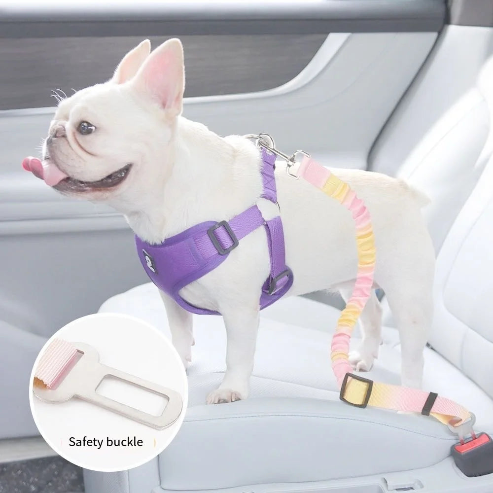 Pet Car Safety Belt – Adjustable Seatbelt Harness for Dogs & Cats