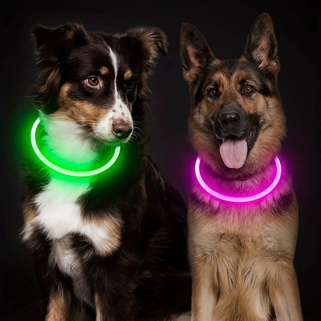 LED Dog Collar – USB Rechargeable Luminous Safety Collar for Night Walks
