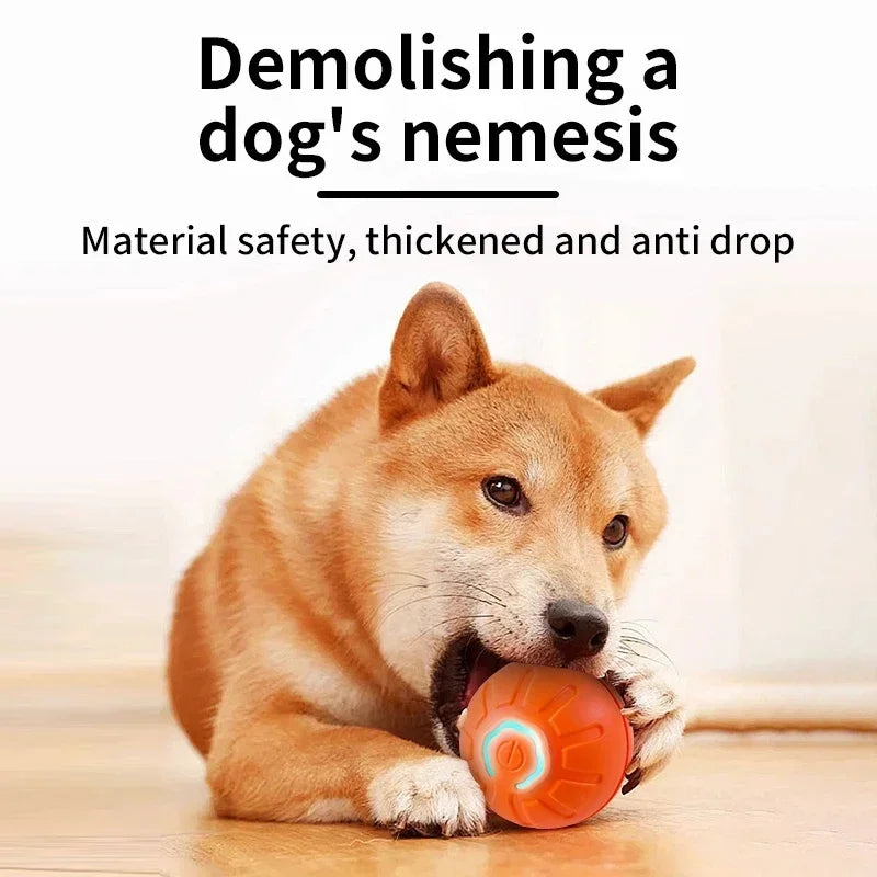 Smart Interactive Pet Ball – USB Rechargeable Auto-Moving Toy for Dogs & Cats