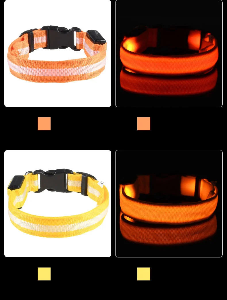 LED Light-Up Dog Collar – Nylon Night Safety Flashing Collar for Dogs