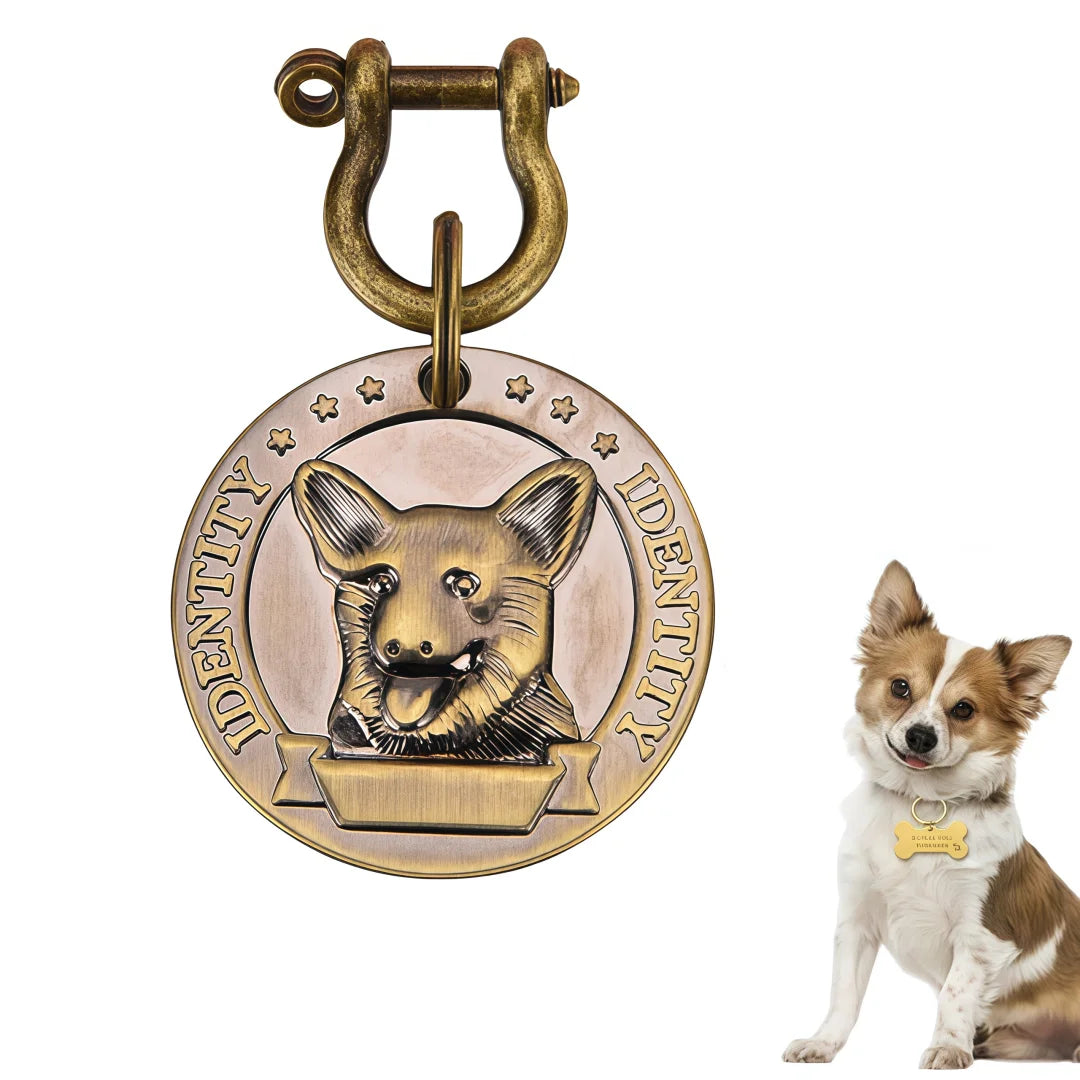 Personalized Engraved Pet ID Tag – Custom Name & Phone for Dogs & Cats