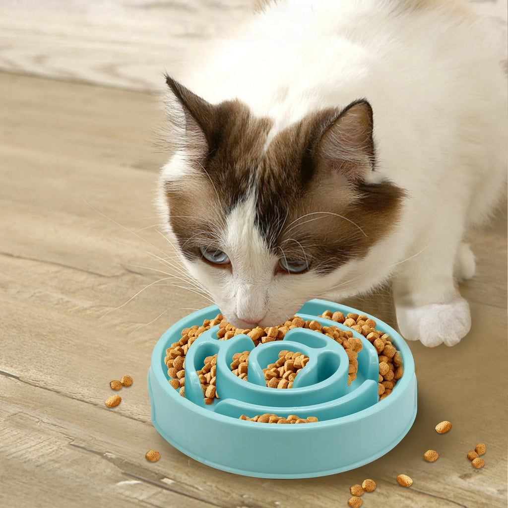 Non-Slip Slow Feeder Bowl for Dogs – Durable & Suitable for All Sizes