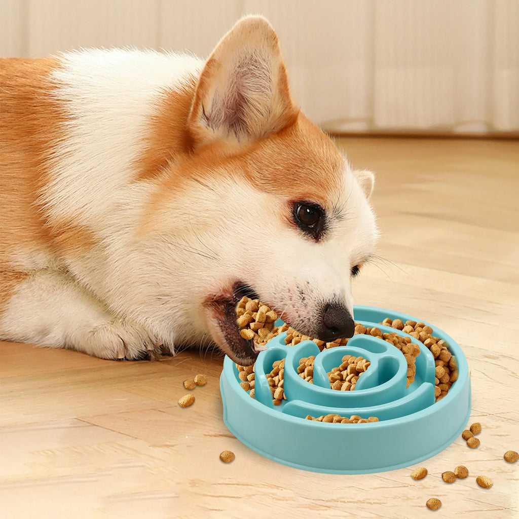 Non-Slip Slow Feeder Bowl for Dogs – Durable & Suitable for All Sizes