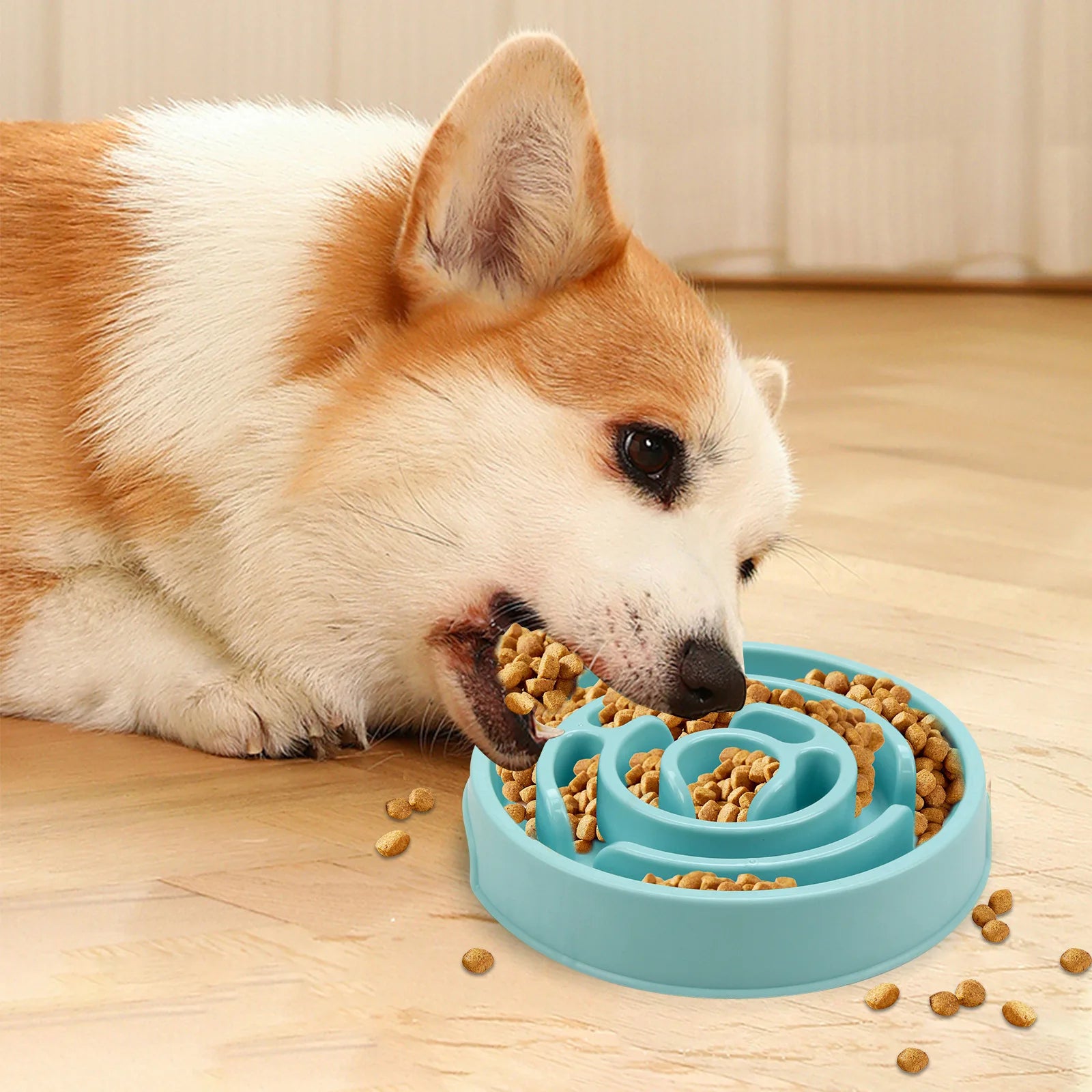 Non-Slip Slow Feeder Bowl for Dogs – Durable & Suitable for All Sizes