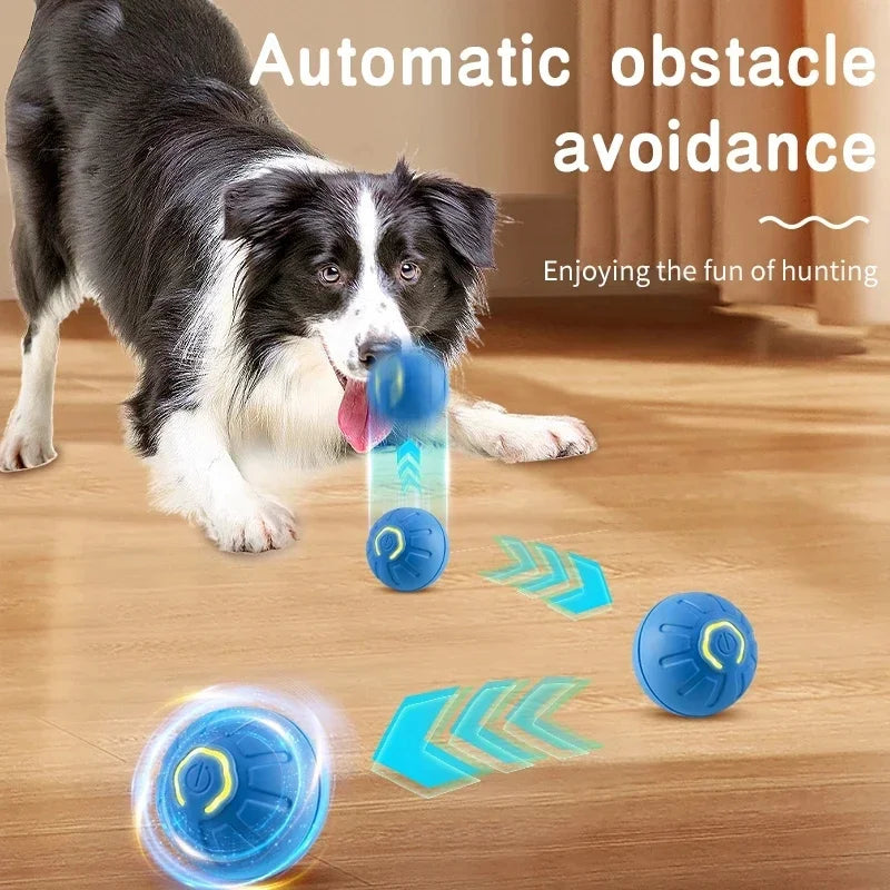 Smart Interactive Pet Ball – USB Rechargeable Auto-Moving Toy for Dogs & Cats