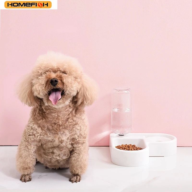 2-in-1 Pet Feeding Set – Food Bowl & Automatic Water Dispenser for Cats & Small Dogs