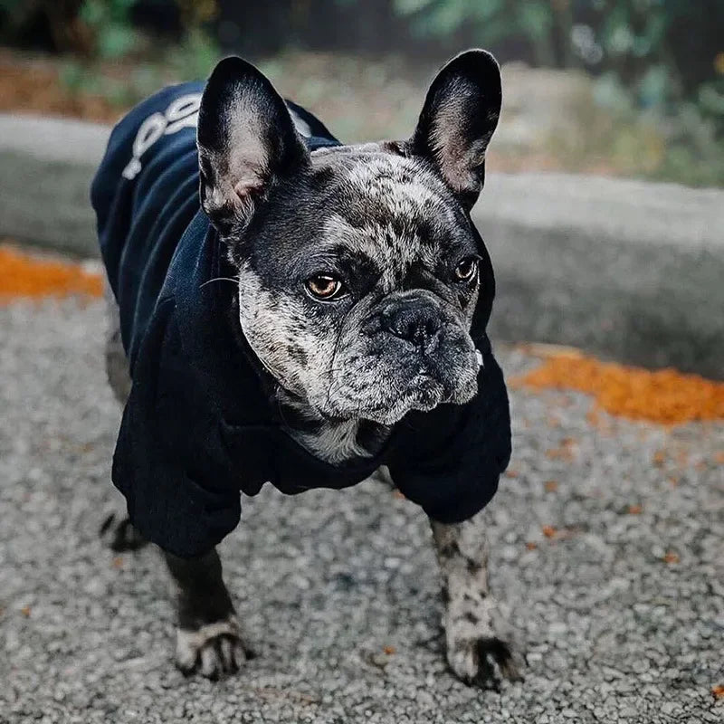 Dog Hoodie – Reflective All-Season Jacket for Medium & Large Breeds