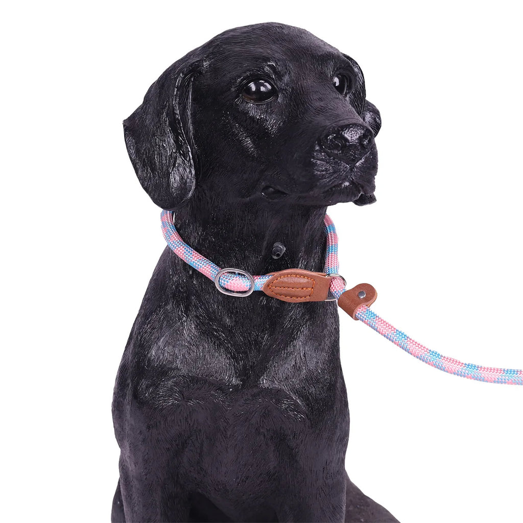 Non-Slip Braided Nylon Dog Leash – Heavy Duty, No-Pull for Small, Medium & Large Dogs | M/L/XL