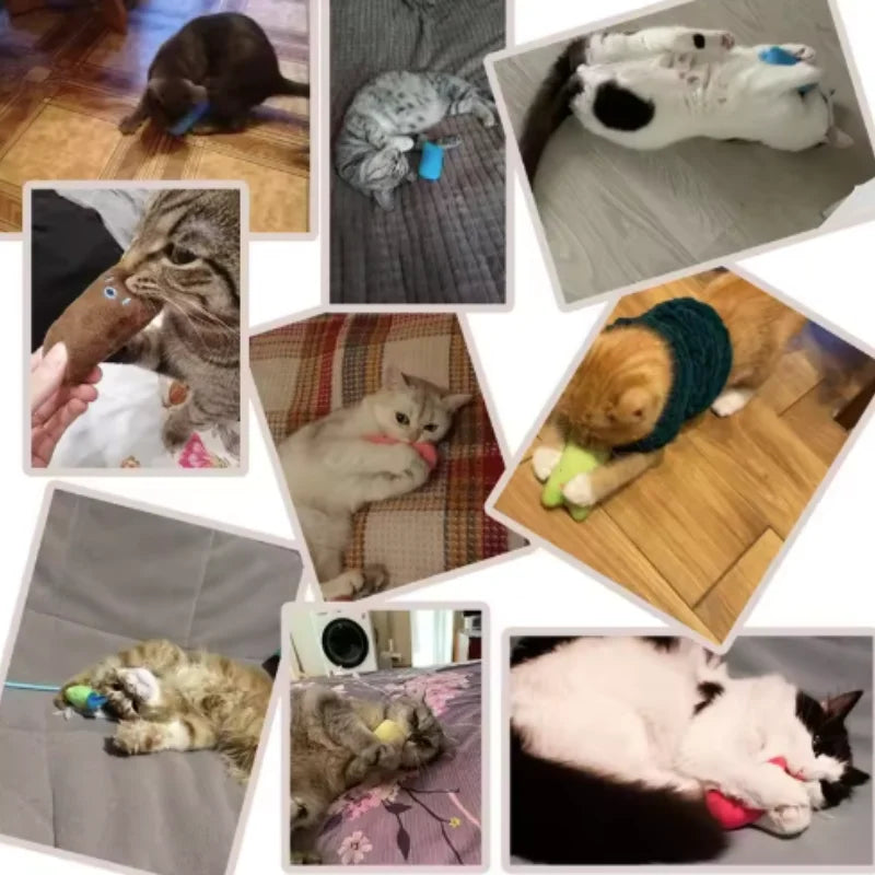 Catnip Velvet Chew Toy – Interactive Plush Toy for Cats & Kittens