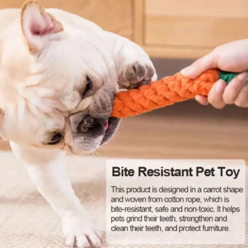 Cat Teething & Play Stick — Interactive Chew Toy for Cats