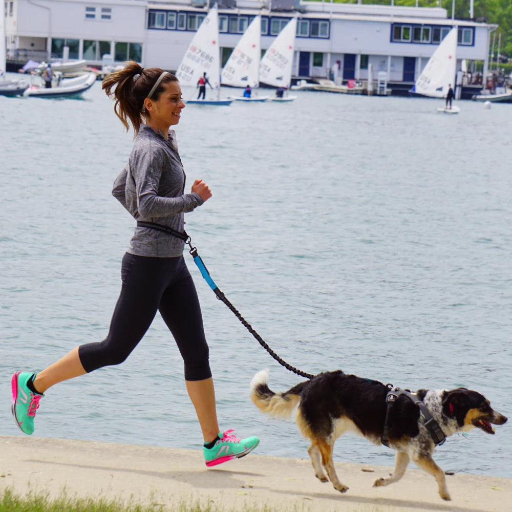 Hands-Free Dog Leash – Adjustable Waist Belt with Reflective Bungee for Running & Walking