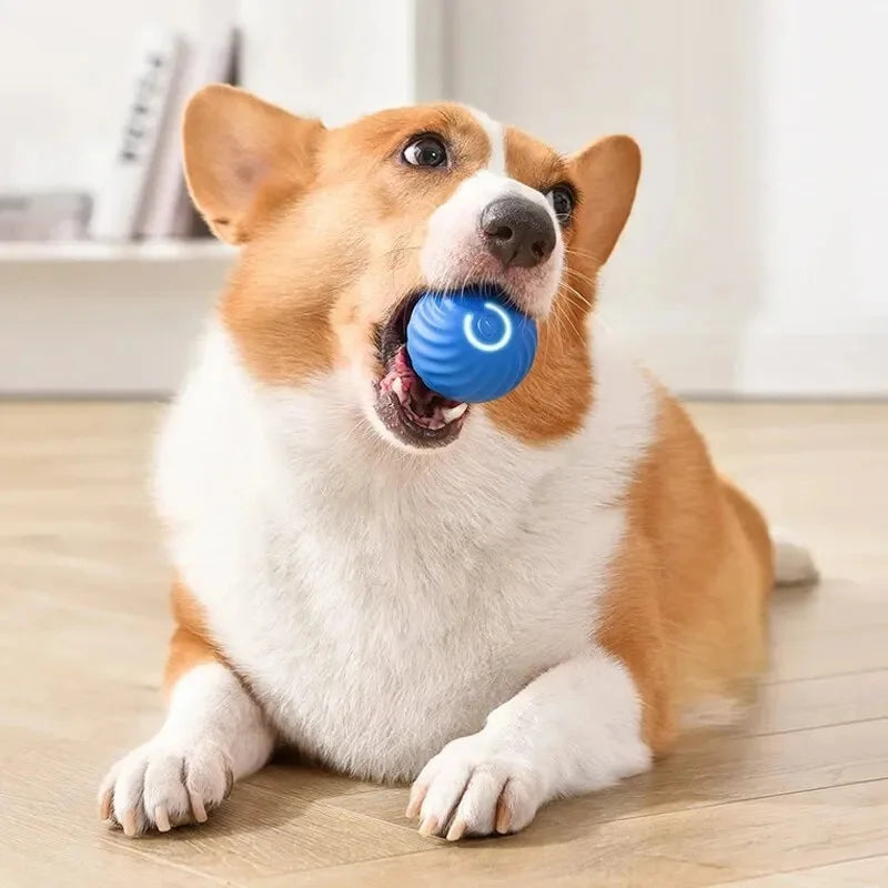 Smart Interactive Pet Ball – USB Rechargeable Auto-Moving Toy for Dogs & Cats