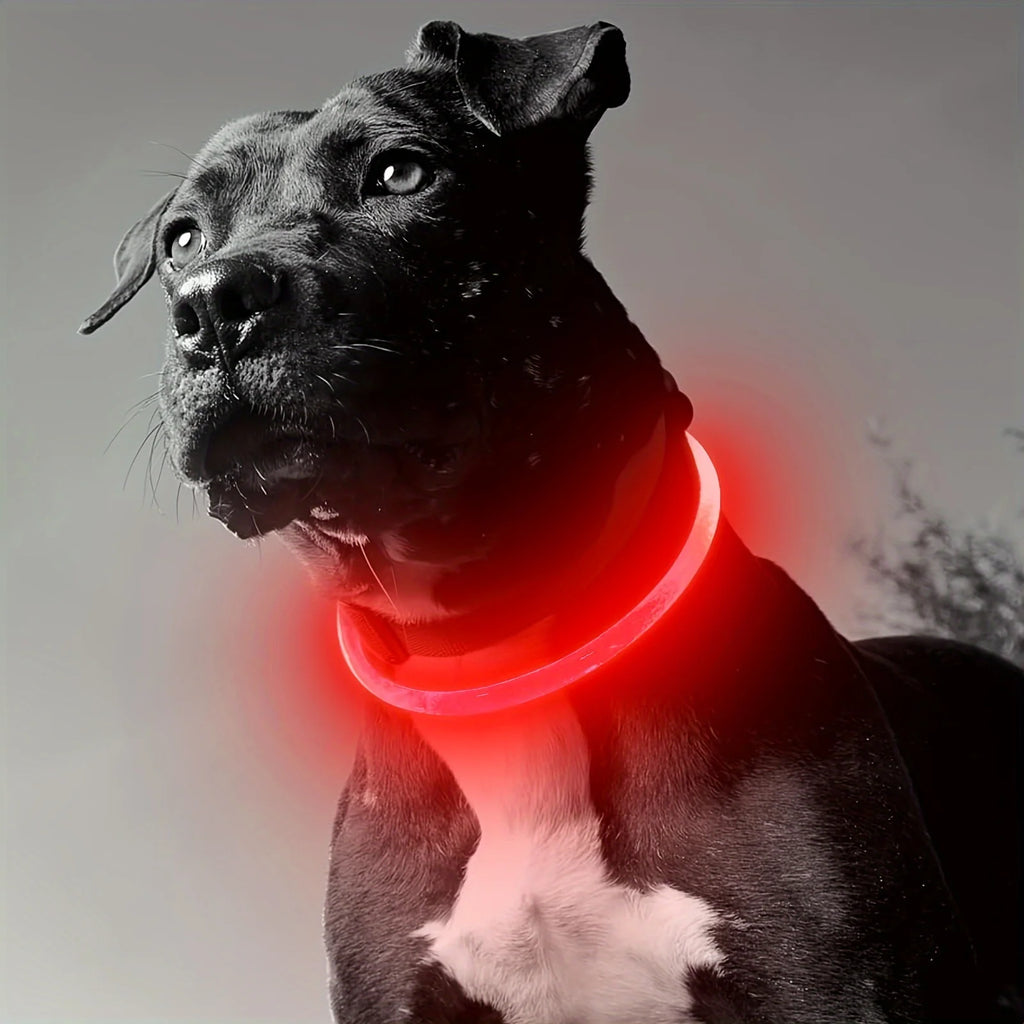 LED Dog Collar – USB Rechargeable Luminous Safety Collar for Night Walks