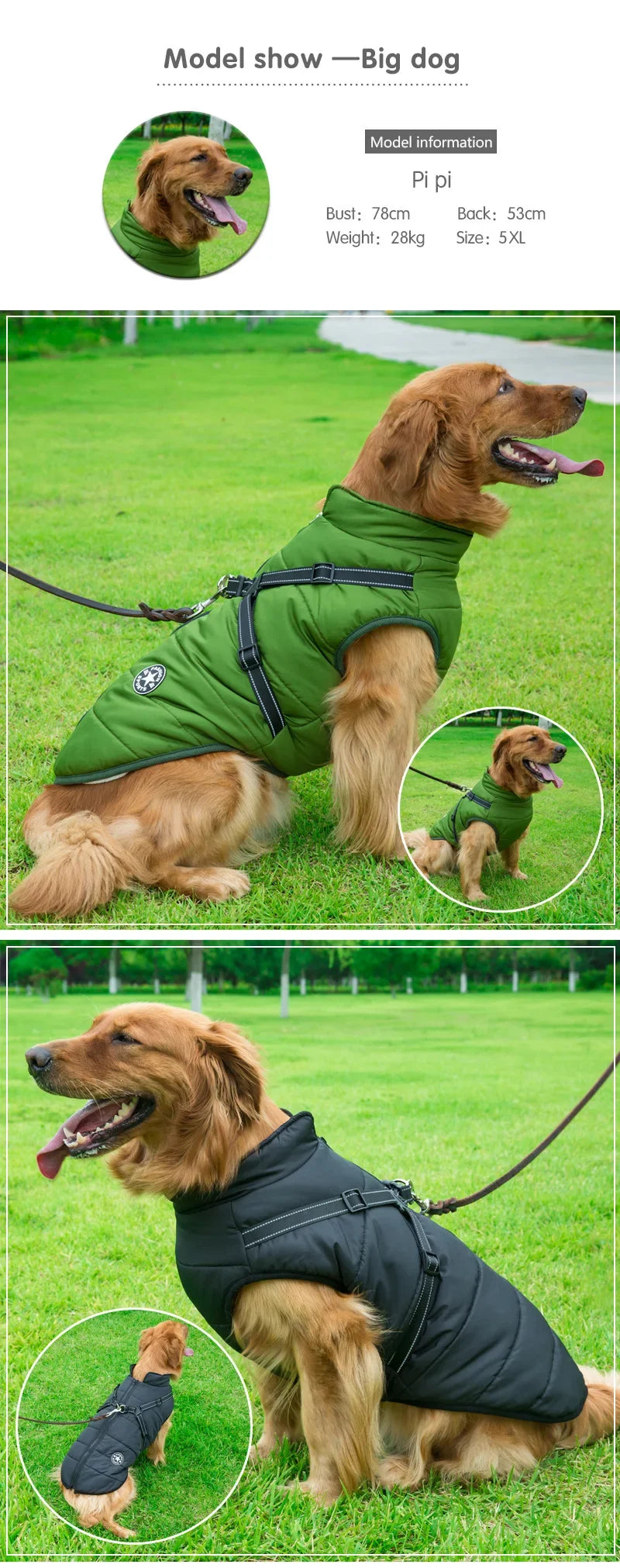 Winter Dog Jacket with Harness – Waterproof & Warm Coat for Large & Small Dogs