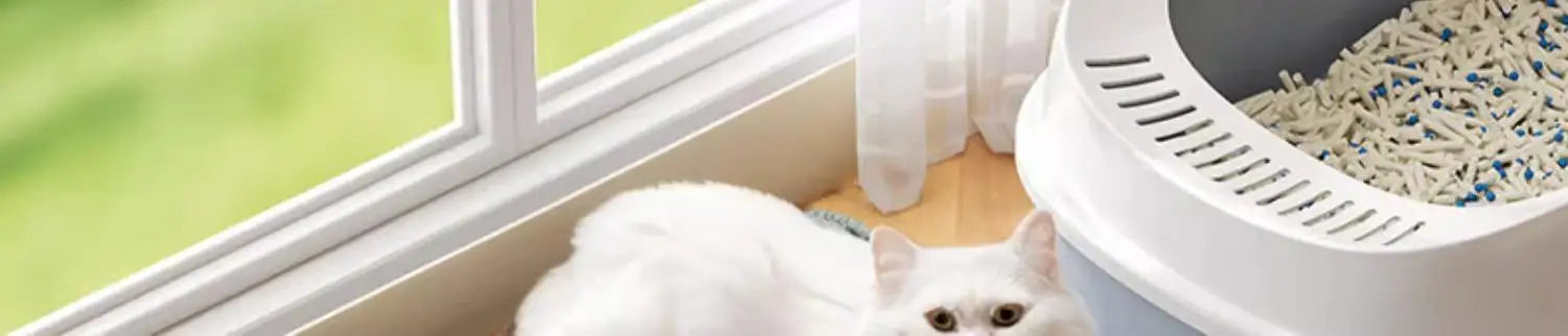 Double-Layer Cat Litter Mat – Waterproof, Non-Slip & Washable