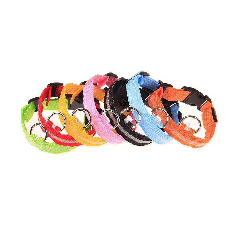 LED Light-Up Dog Collar – Nylon Night Safety Flashing Collar for Dogs