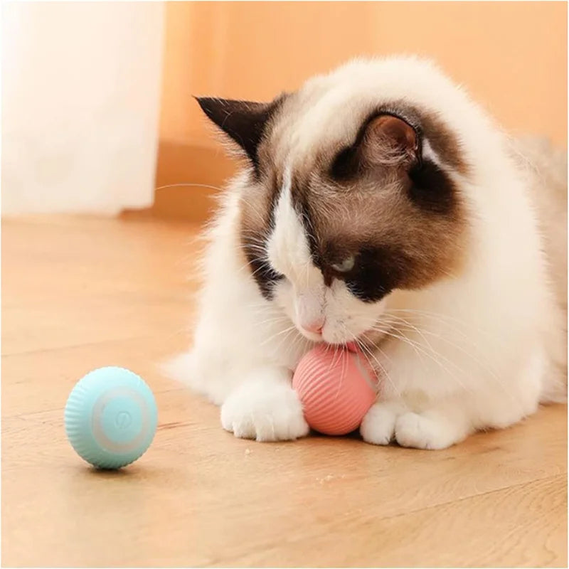 Smart Interactive Pet Ball – USB Rechargeable Auto-Moving Toy for Dogs & Cats