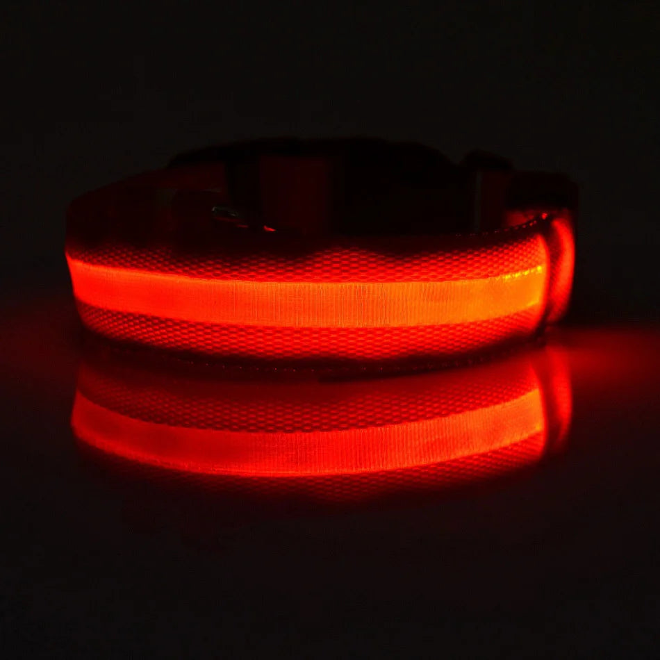 LED Light-Up Dog Collar – Nylon Night Safety Flashing Collar for Dogs