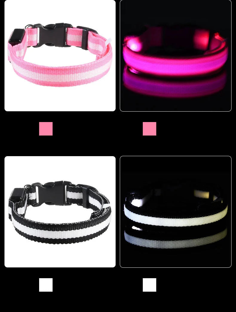 LED Light-Up Dog Collar – Nylon Night Safety Flashing Collar for Dogs