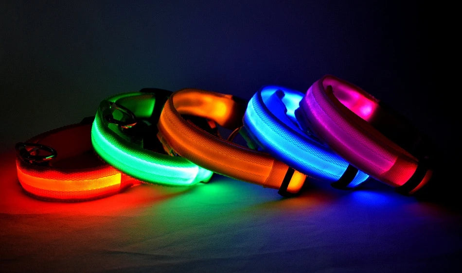 LED Light-Up Dog Collar – Nylon Night Safety Flashing Collar for Dogs