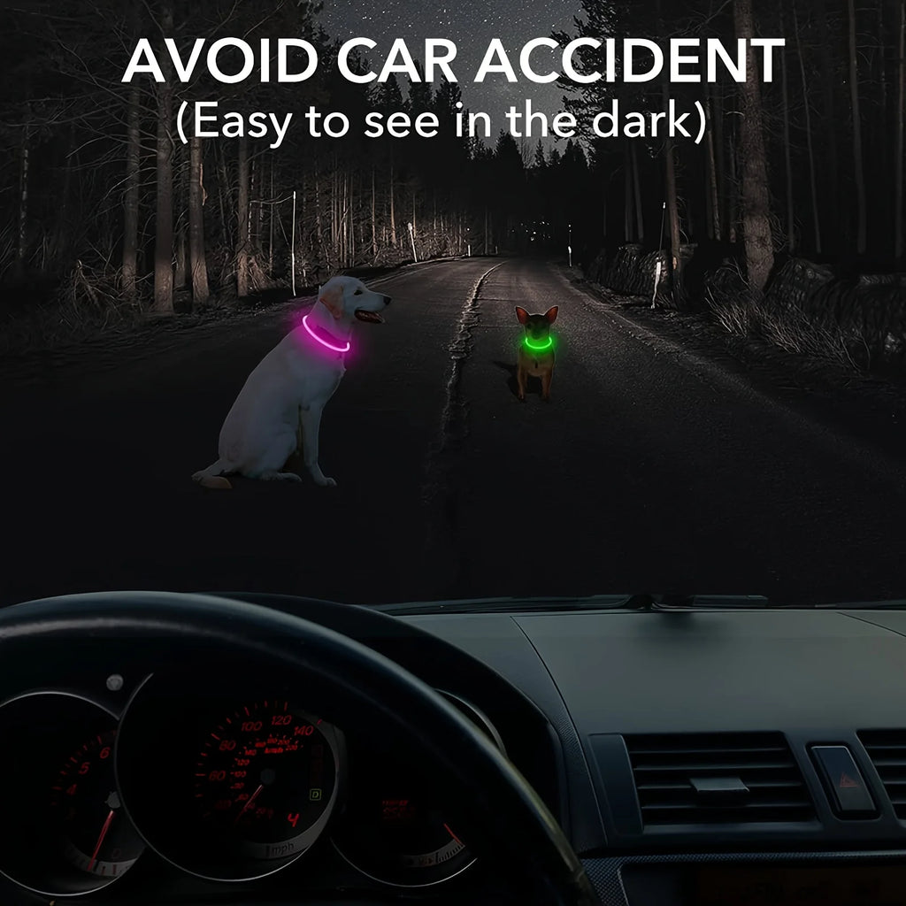 LED Dog Collar – USB Rechargeable Luminous Safety Collar for Night Walks
