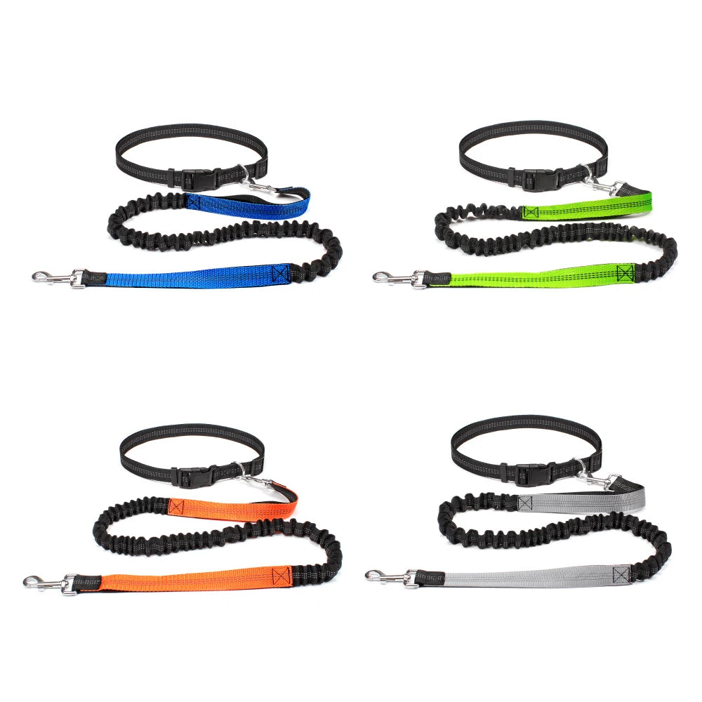 Hands-Free Dog Leash – Adjustable Waist Belt with Reflective Bungee for Running & Walking